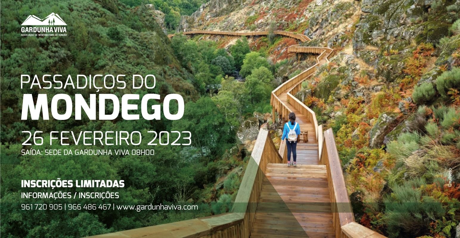 Odoo • A picture with a caption