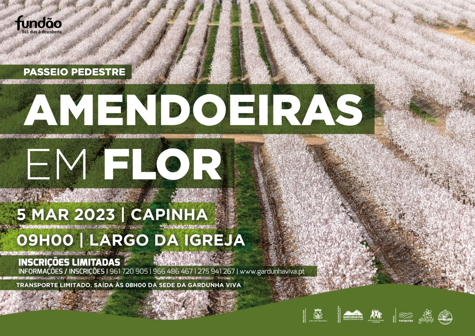 Odoo • A picture with a caption