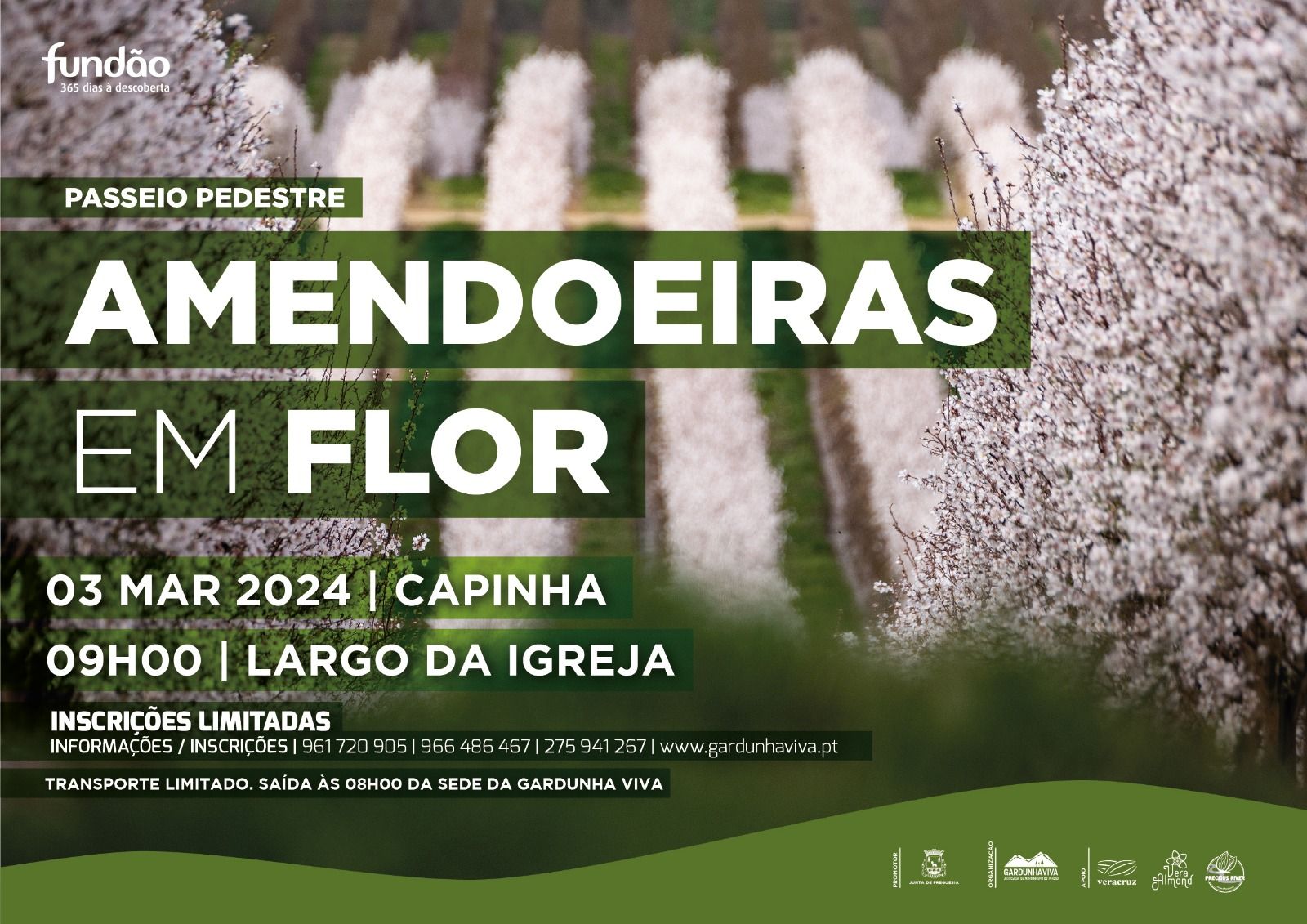 Odoo • A picture with a caption