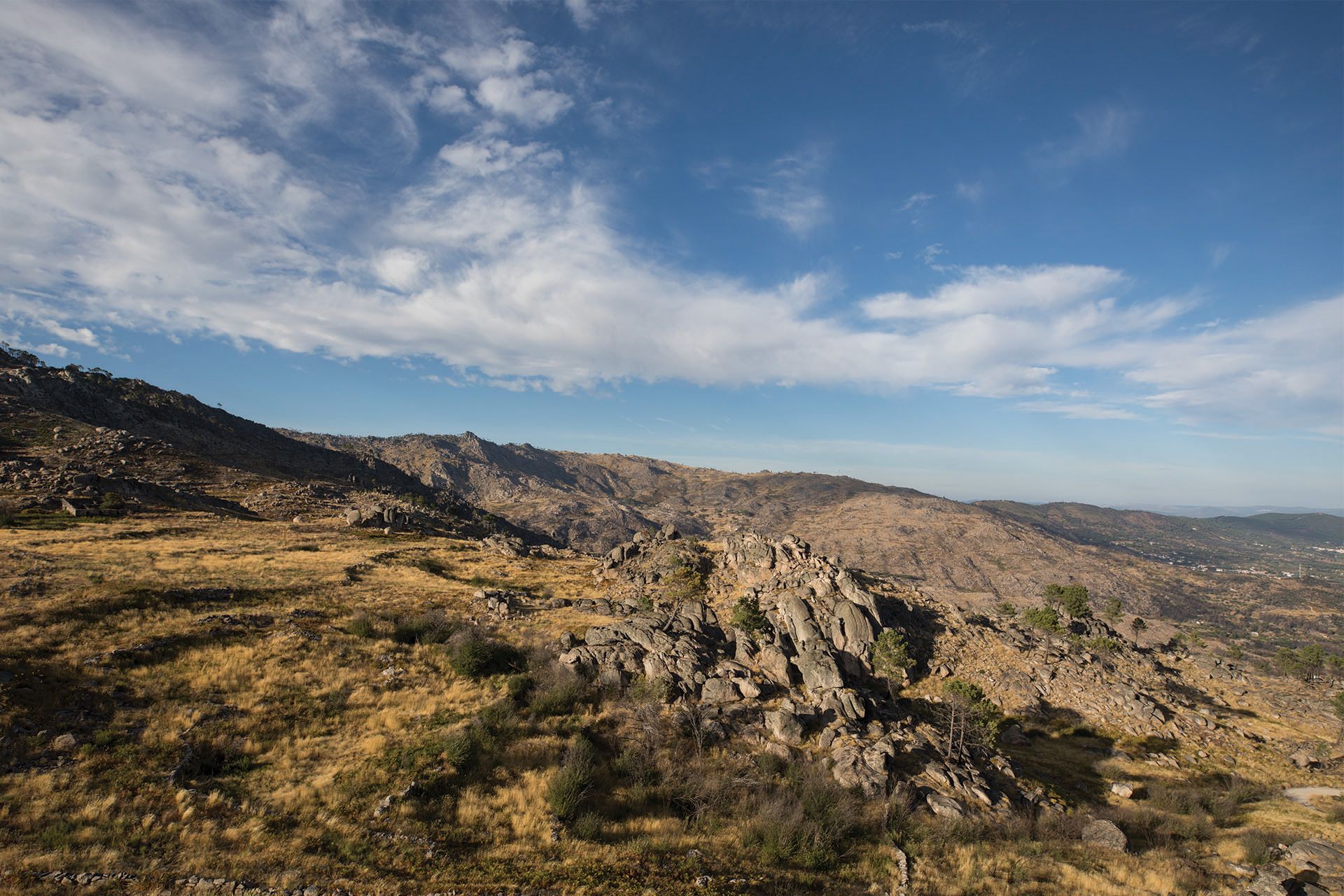 Odoo • Text and Image