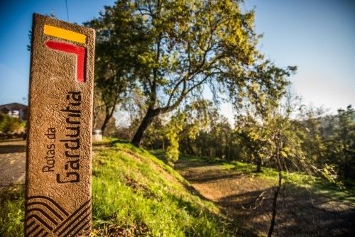 Odoo • Text and Image