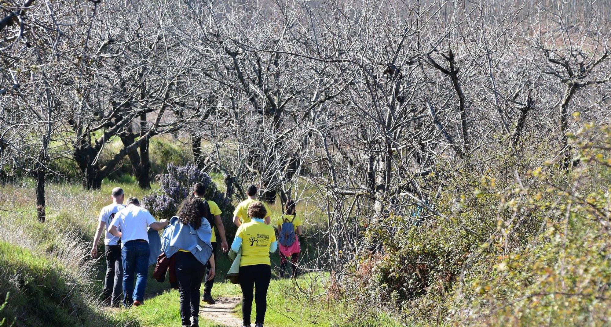 Odoo • Text and Image