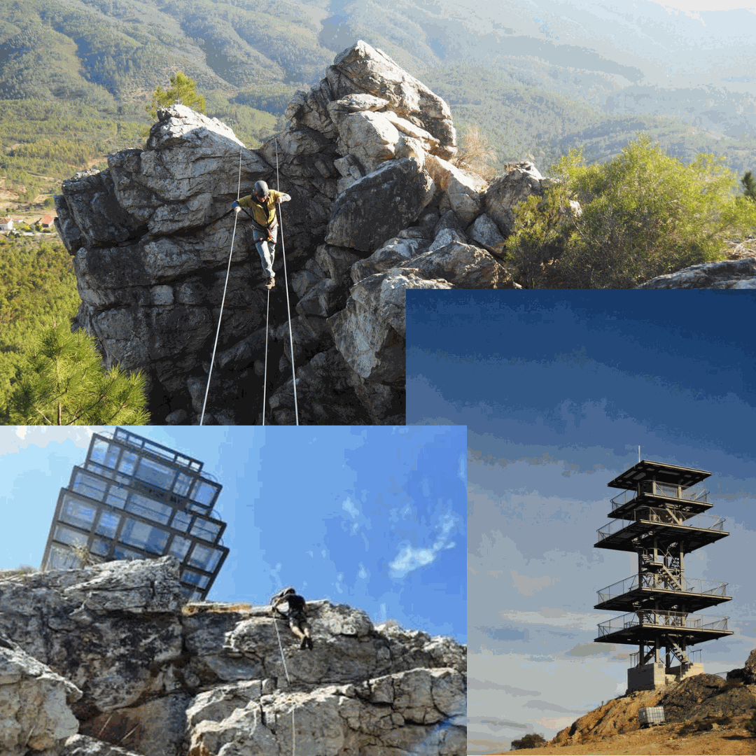 Odoo • Image and Text